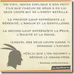 Sagesse améridienne - Mini Sagesse améridienne - Mini