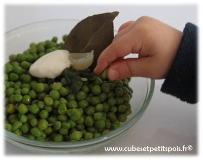 20120125 Petits pois 01