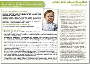 FO PB 6 - Comprendre les émotions intenses IF