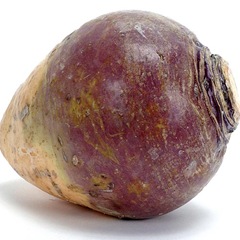 rutabaga2