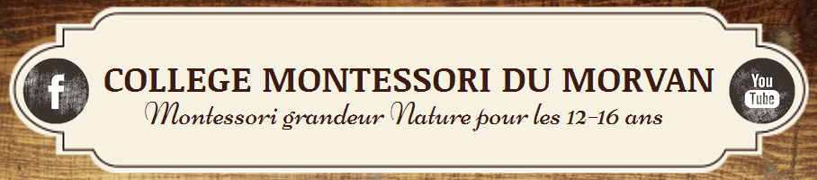 college montessori morvan