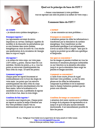 les principes de l'EFT les principes de l'EFT