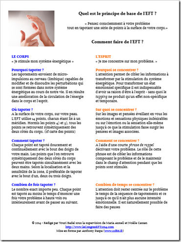 les principes de l'EFT