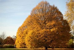 Il n'est pas facile de changer rapidement et de façon durable tout ou partie de nos habitudes www.demainestdejala.com