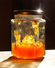 champs électromagnétiques et candidose