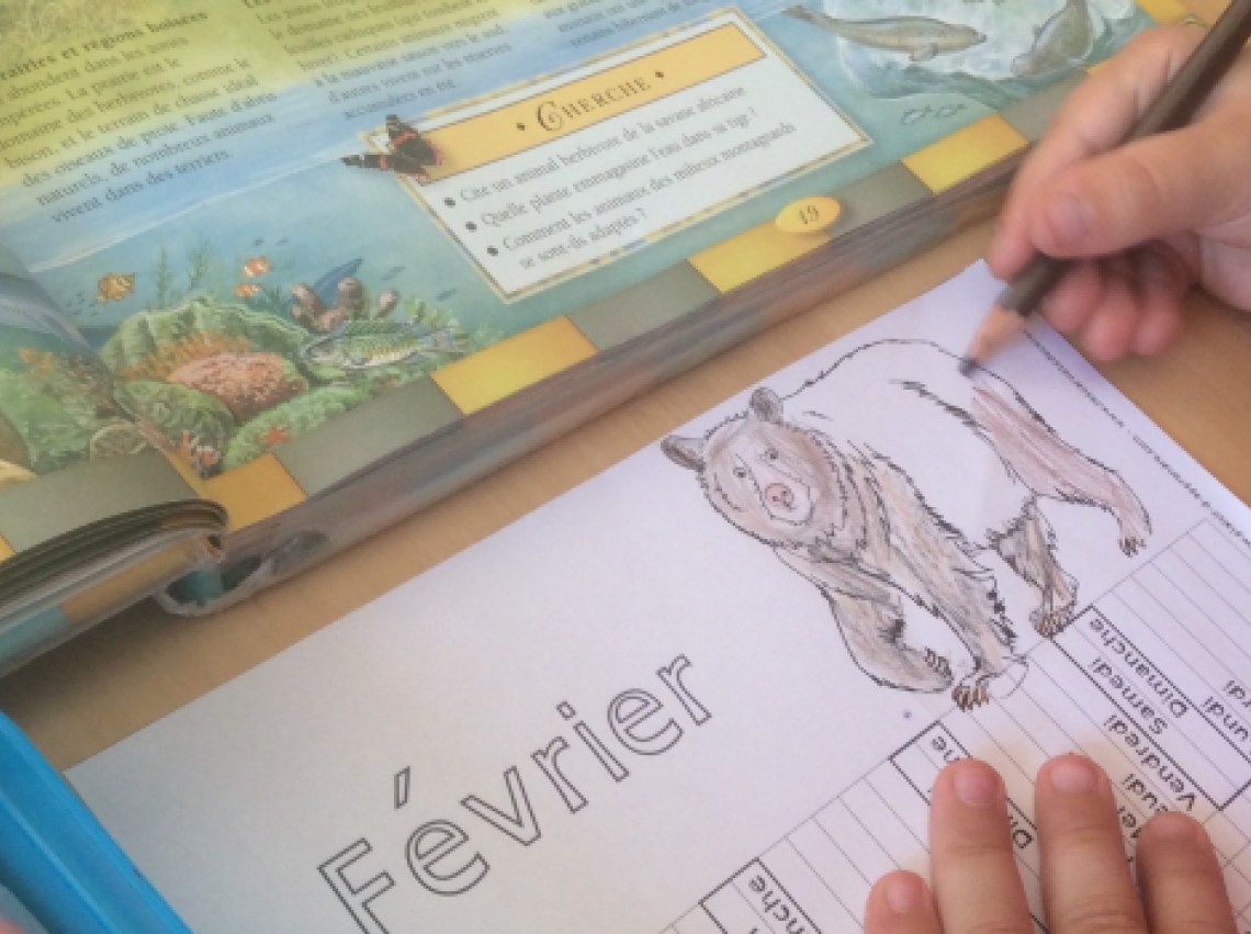 Activités éducatives Et Ludiques Pour Enfants Scolarisés Autrement Activités éducatives Et Ludiques Pour Enfants Scolarisés Autrement