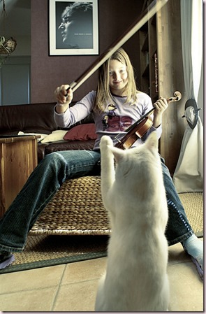 Jeune violonniste et son chat