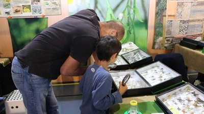 apprentissages-en-famille-2