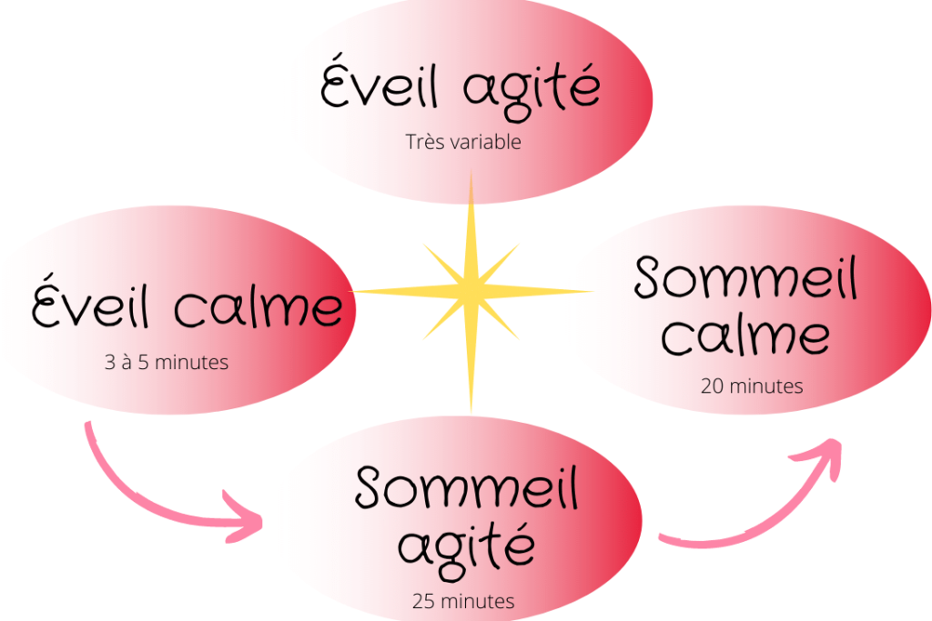 Nos clés pour favoriser le sommeil de bébé Les Supers Parents